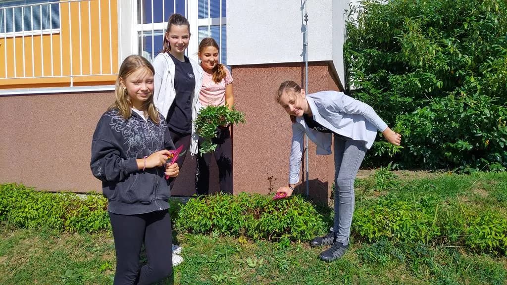 Fotografie z článku: Sedmáci pečují o školní zahradu a jezírko