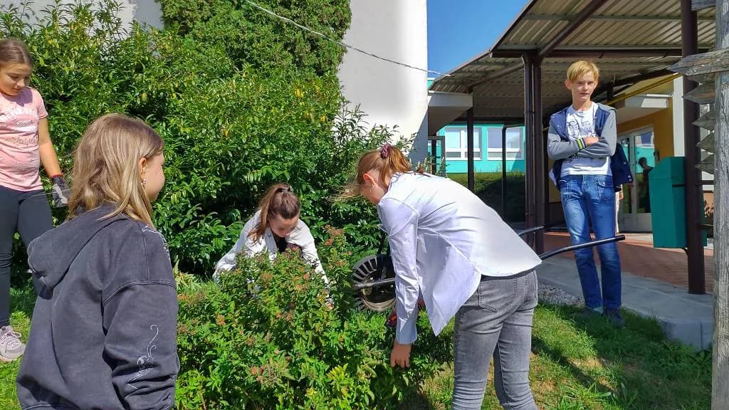 Fotografie z článku: Sedmáci pečují o školní zahradu a jezírko