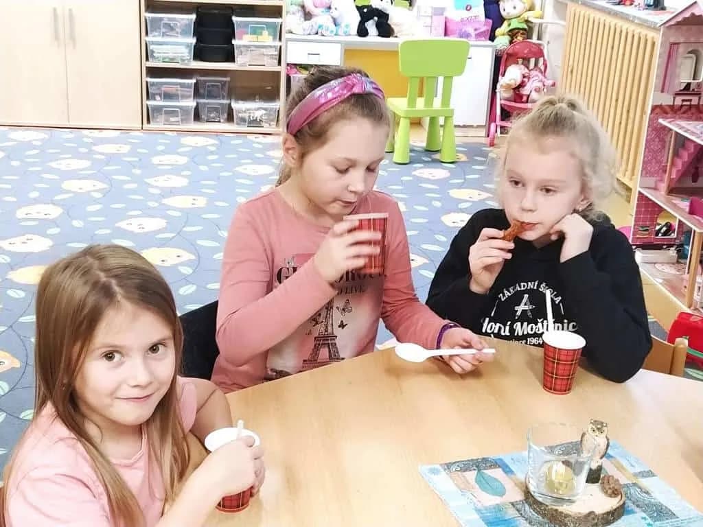 Fotografie z článku: Soví podzimní den