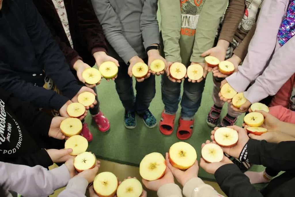 Fotografie z článku: Tradice Vánoc u Smajlíků