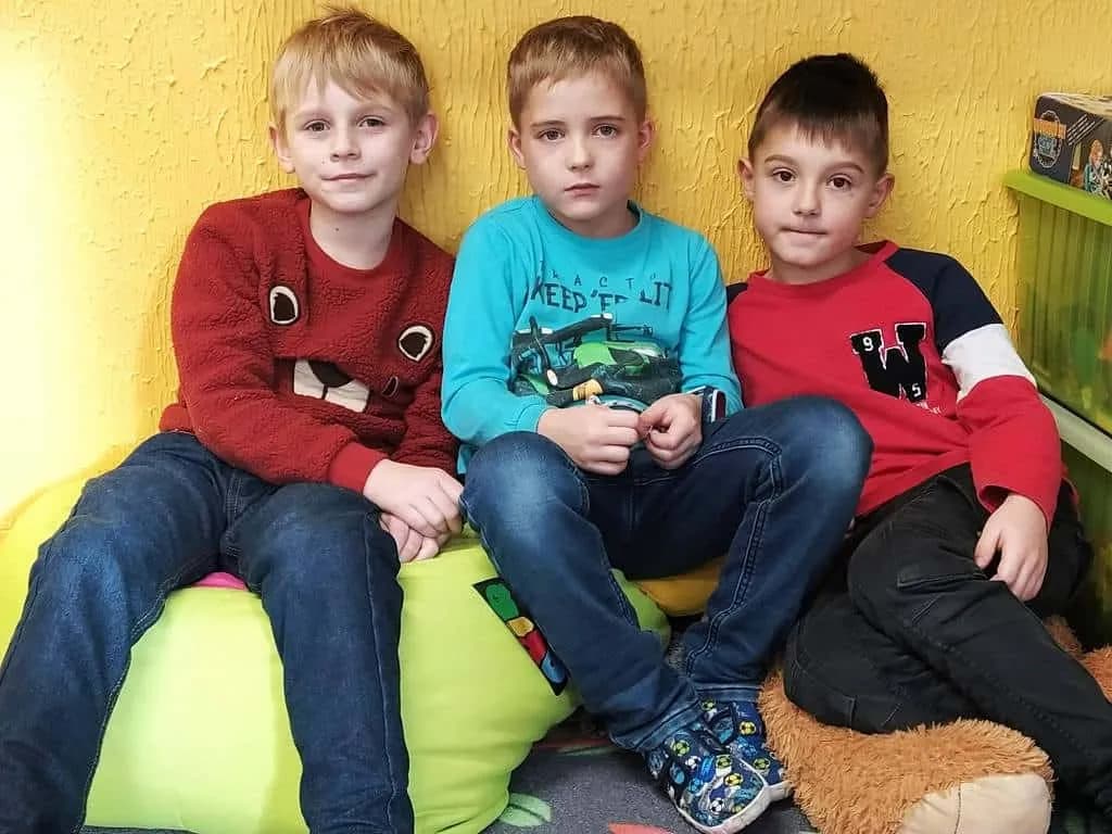 Fotografie z článku: Moudrá sova