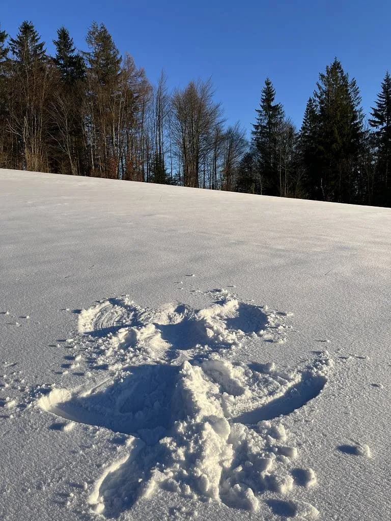 Fotografie z článku: Kouzelník a klaun u Berušek a v Mikrojeslích