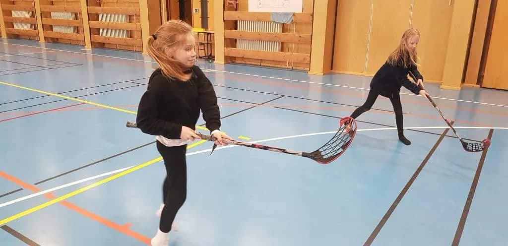 Fotografie z článku: Zimní olympiáda u Veverek