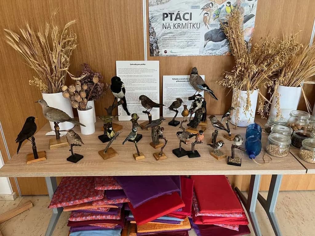 Fotografie z článku: MŠ v ORNISU