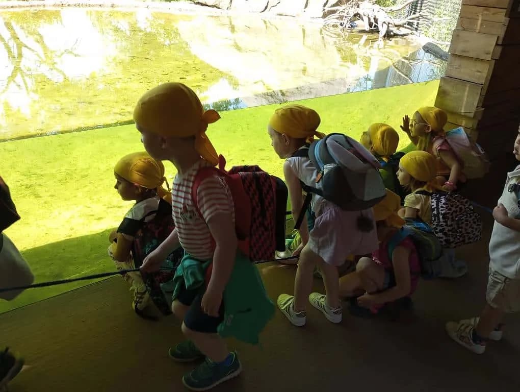 Fotografie z článku: Včeličky a Sluníčka na výletě v ZOO Lešná