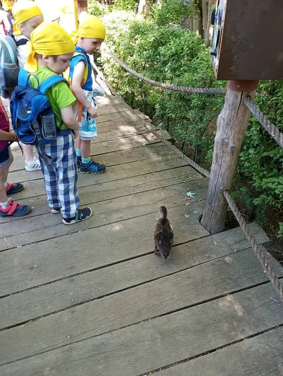 Fotografie z článku: Včeličky a Sluníčka na výletě v ZOO Lešná