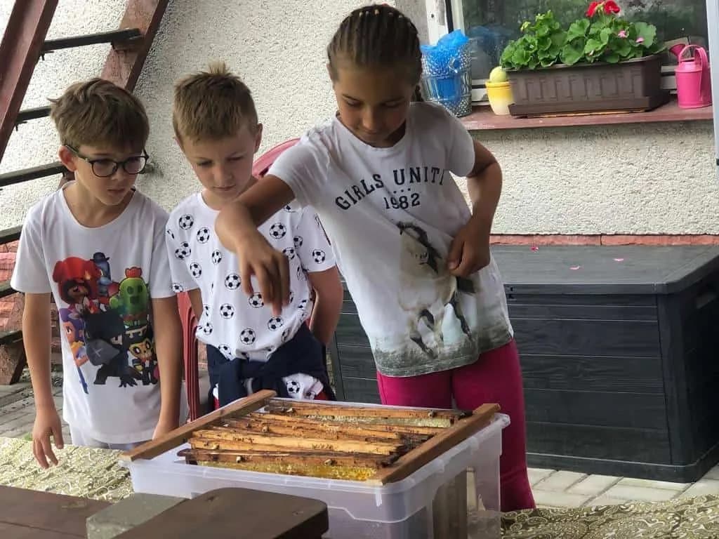 Fotografie z článku: Exkurze u včelaře