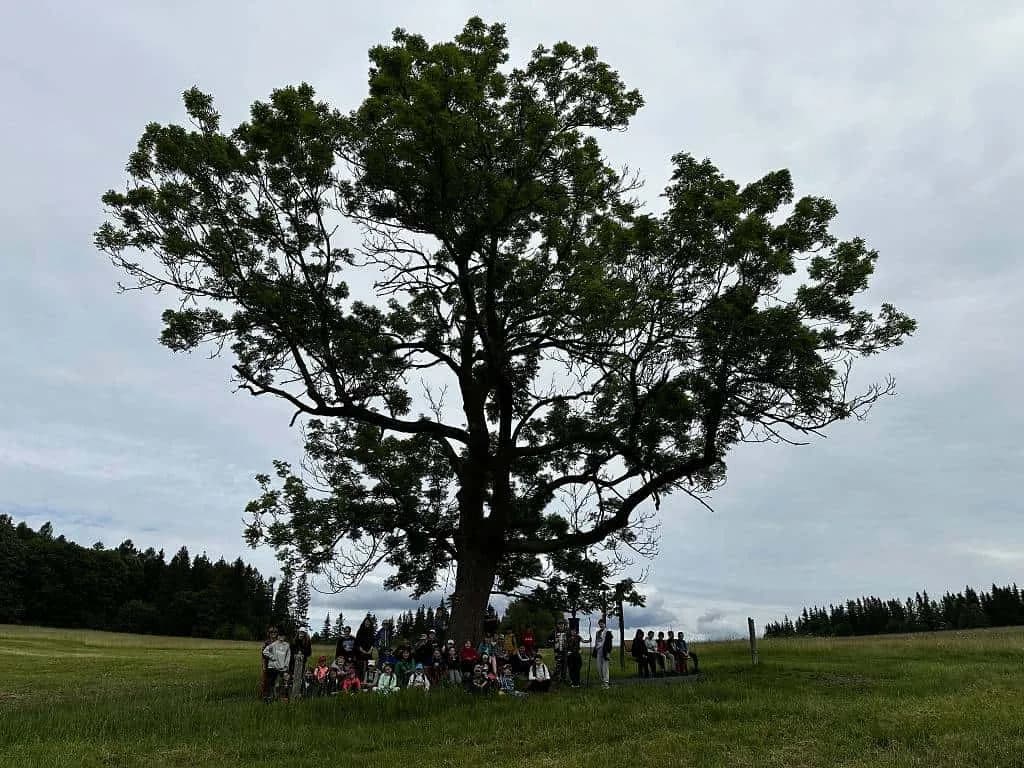Fotografie z článku: Škola v přírodě