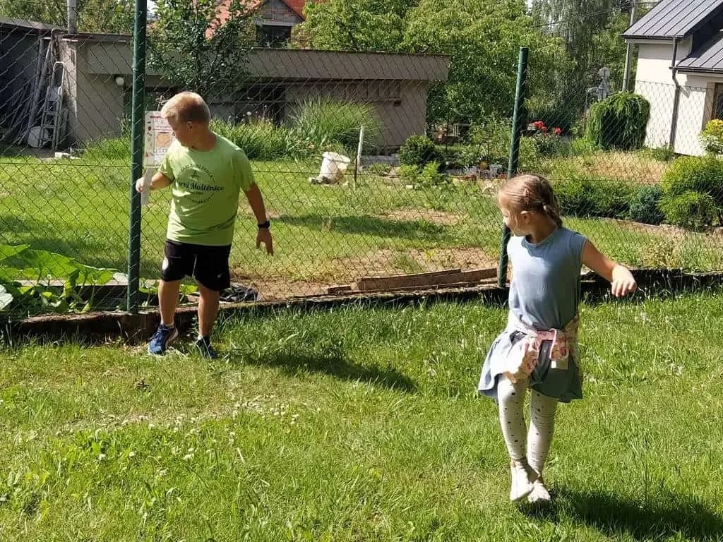 Fotografie z článku: Koťata a ll. A spolu kamarádí