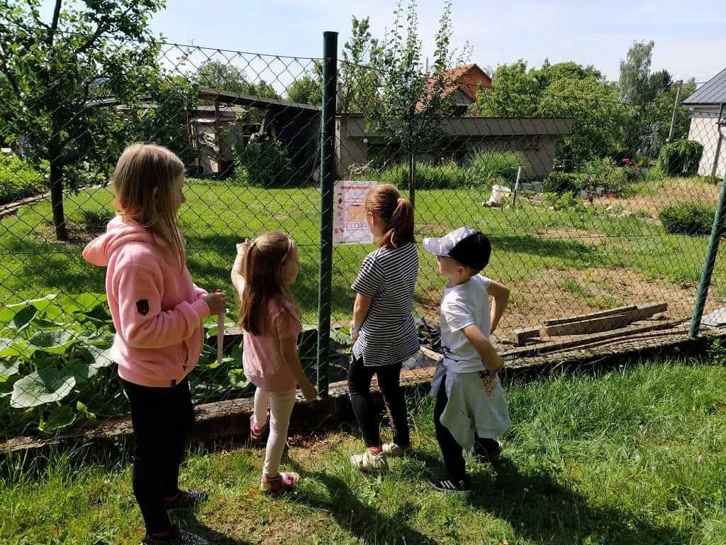 Fotografie z článku: Koťata a ll. A spolu kamarádí