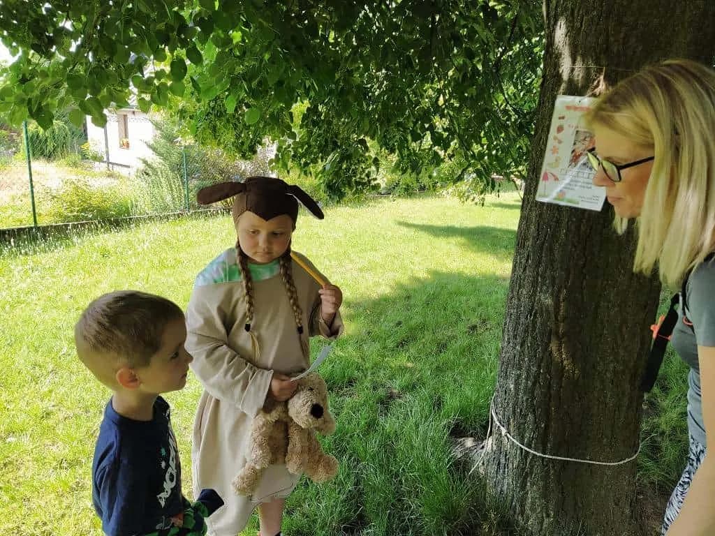 Fotografie z článku: Koťata a ll. A spolu kamarádí