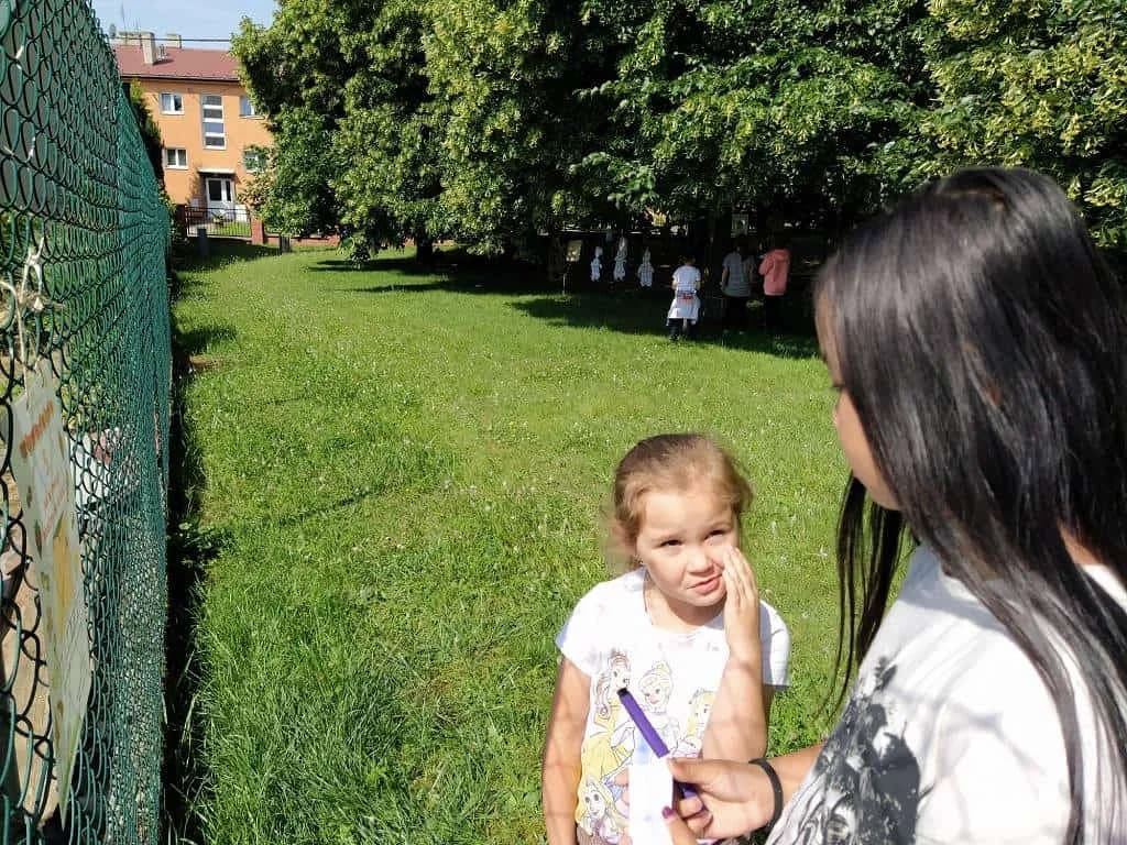Fotografie z článku: Koťata a ll. A spolu kamarádí