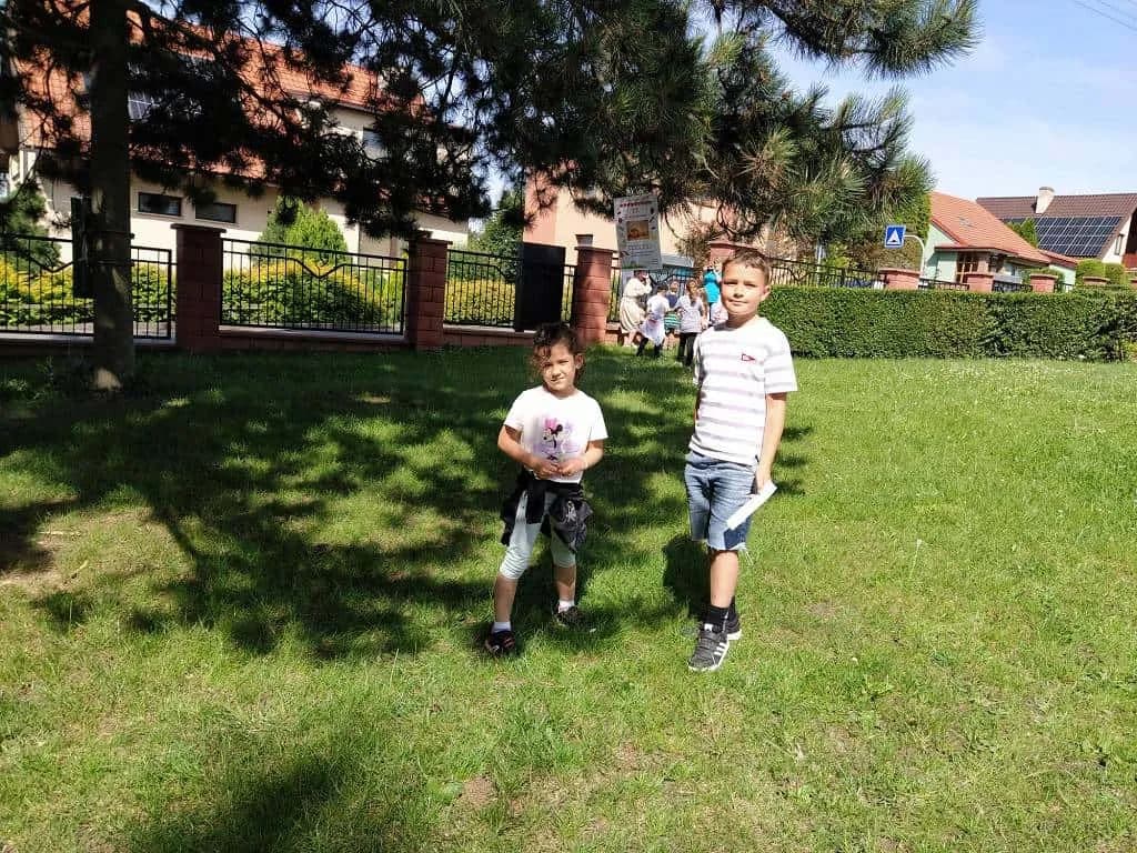 Fotografie z článku: Koťata a ll. A spolu kamarádí