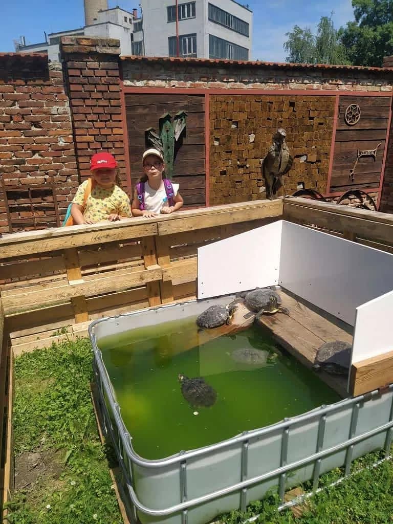 Fotografie z článku: Výlet 1. a 2. tříd do Kovozoo