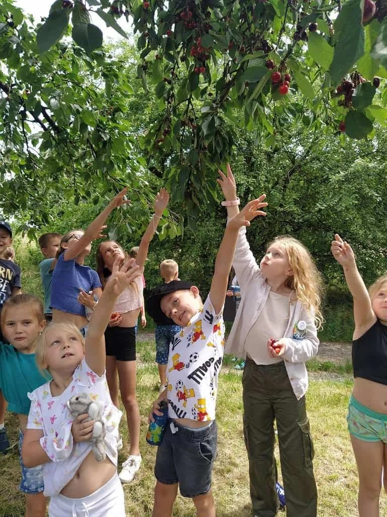 Fotografie z článku: Stopovaná