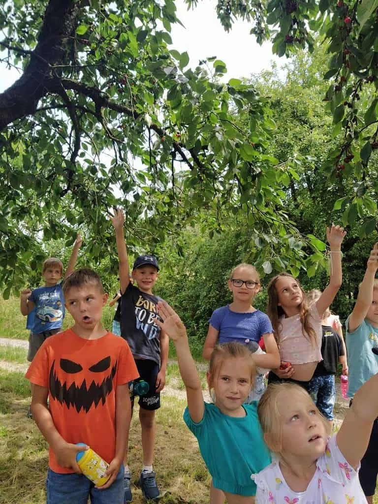 Fotografie z článku: Stopovaná