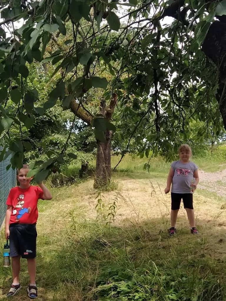 Fotografie z článku: Stopovaná