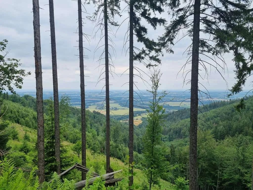 Fotografie z článku: Deváťáci na výletě