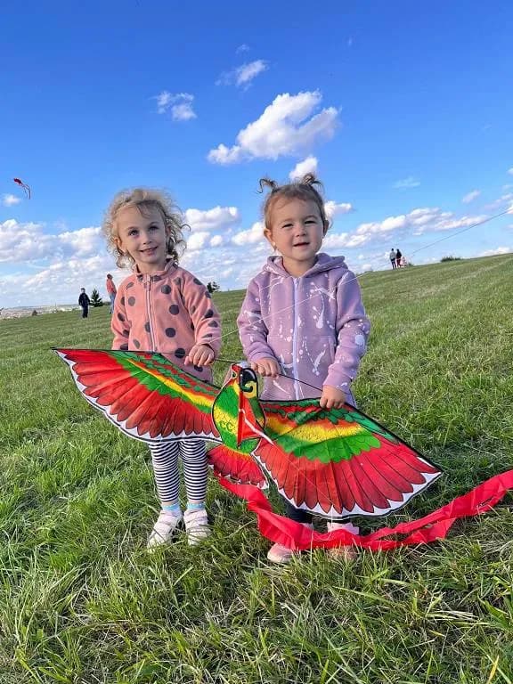 Fotografie z článku: Drakiáda v MŠ