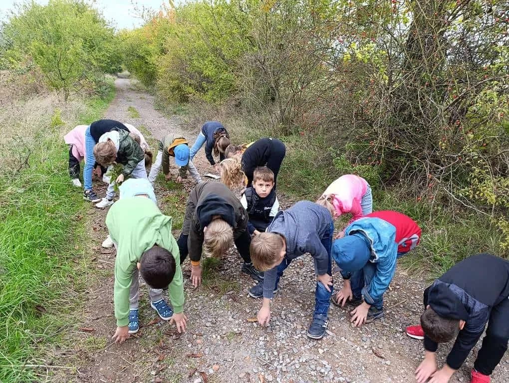 Fotografie z článku: Pohybová stezka se skřítky
