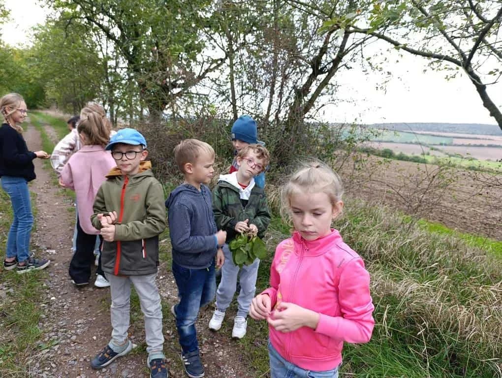 Fotografie z článku: Pohybová stezka se skřítky