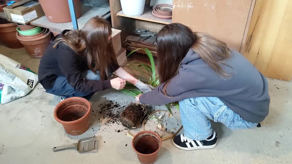 Fotografie z článku: Svět práce s osmáky