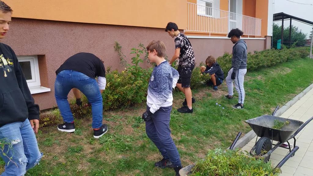 Fotografie z článku: Pracovní činnosti se sedmáky