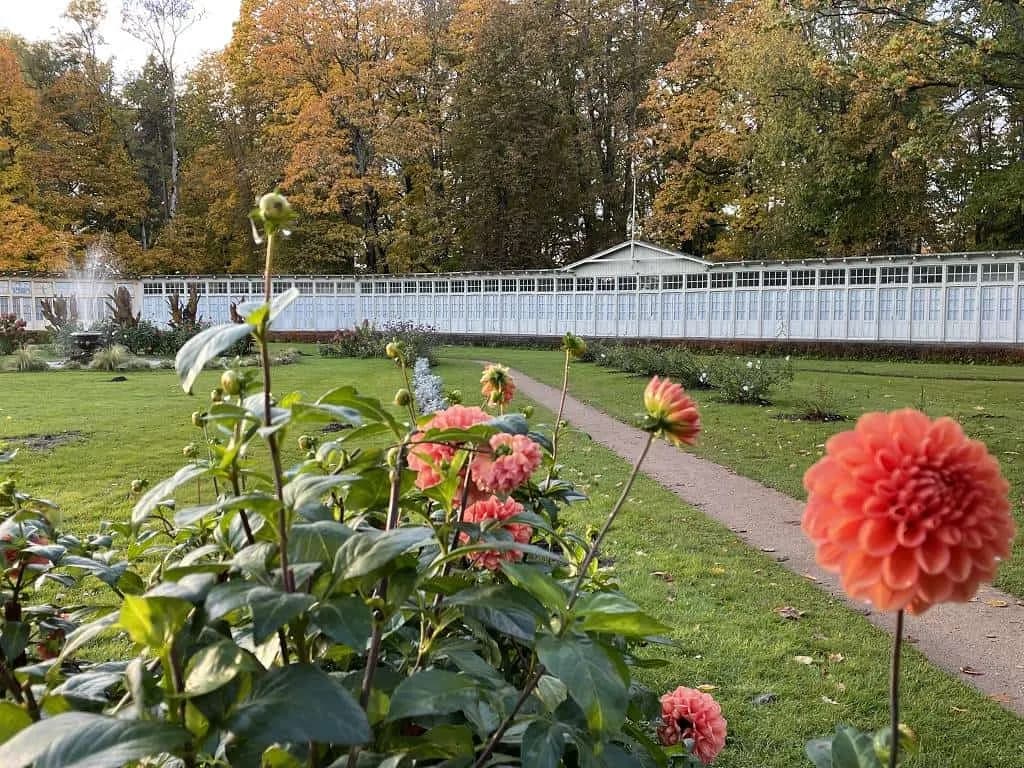 Fotografie z článku: Jobshadowing v Lotyšsku