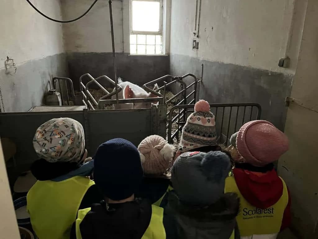 Fotografie z článku: Drakiáda - všechna oddělení školní družiny