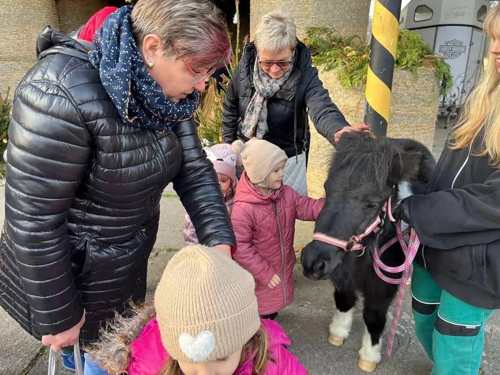 Fotografie z článku: Vánoční výlet za zvířátky - MŠ