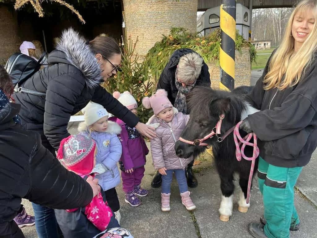 Fotografie z článku: Vánoční výlet za zvířátky - MŠ