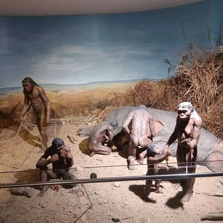 Fotografie z článku: Exkurze šestých a sedmých tříd v Zemském muzeu v Brně