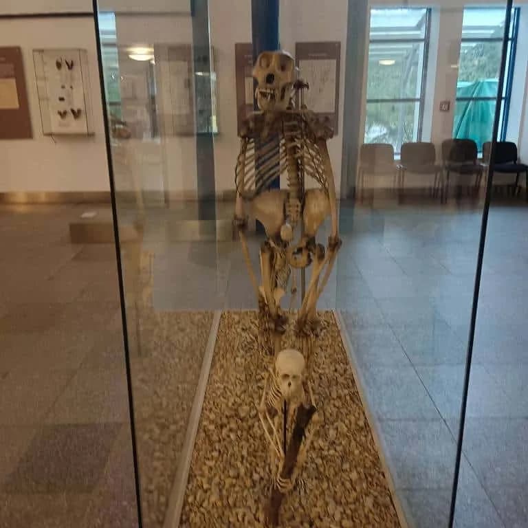 Fotografie z článku: Exkurze šestých a sedmých tříd v Zemském muzeu v Brně