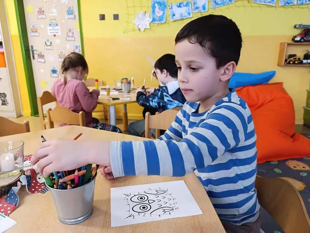 Fotografie z článku: Moudrá sova