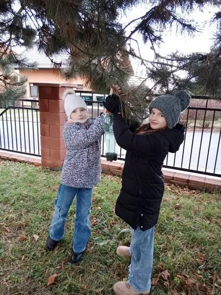 Fotografie z článku: Výroba krmítek ve IV. A