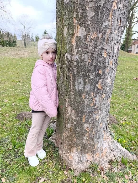 Fotografie z článku: Stezka přírodou - poznáváme jarní květiny