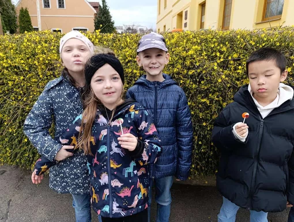 Fotografie z článku: Stezka přírodou - poznáváme jarní květiny