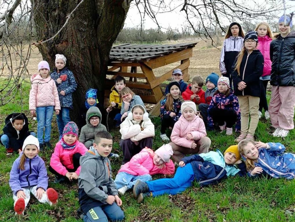 Fotografie z článku: Stezka přírodou - poznáváme jarní květiny