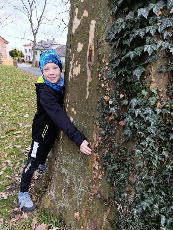 Fotografie z článku: Stezka přírodou - poznáváme jarní květiny
