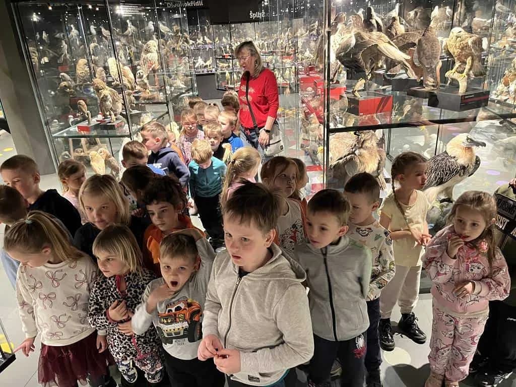 Fotografie z článku: MŠ v Ornisu