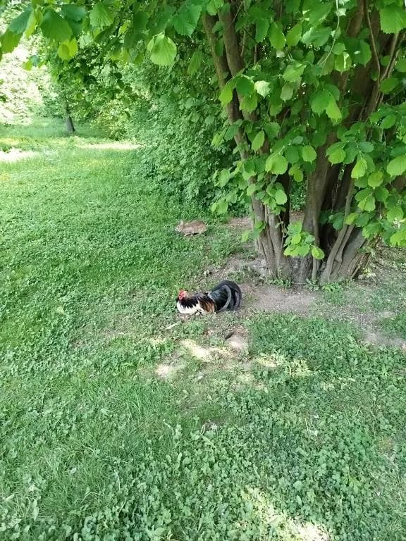 Fotografie z článku: Výlet Koťat do Kroměříže