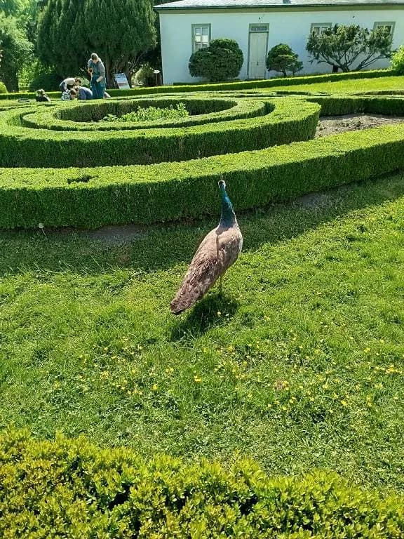 Fotografie z článku: Výlet Koťat do Kroměříže