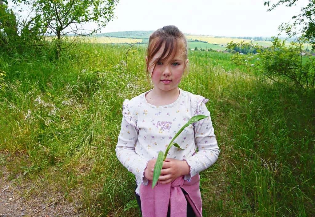 Fotografie z článku: Stezka skřítka Jarníčka