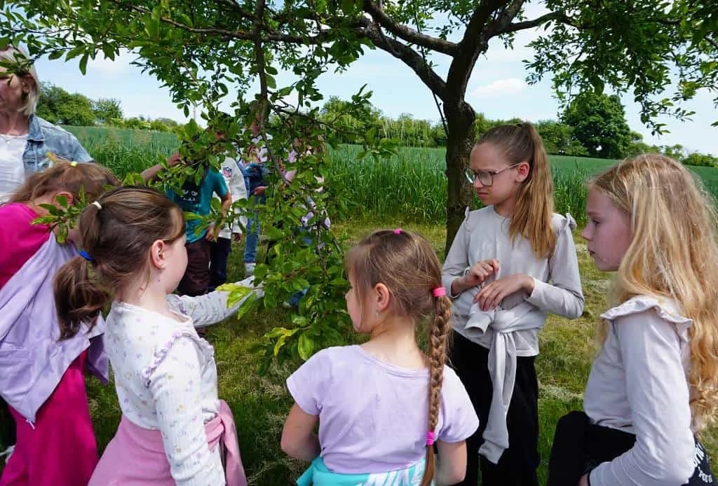 Fotografie z článku: Stezka skřítka Jarníčka