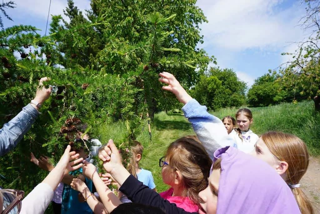 Fotografie z článku: Stezka skřítka Jarníčka