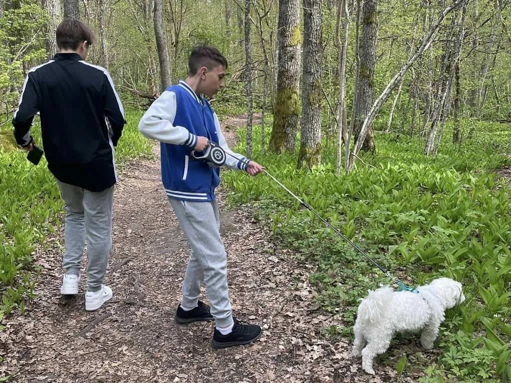 Fotografie z článku: Jak "Sport spojil" naše žáky s těmi finskými