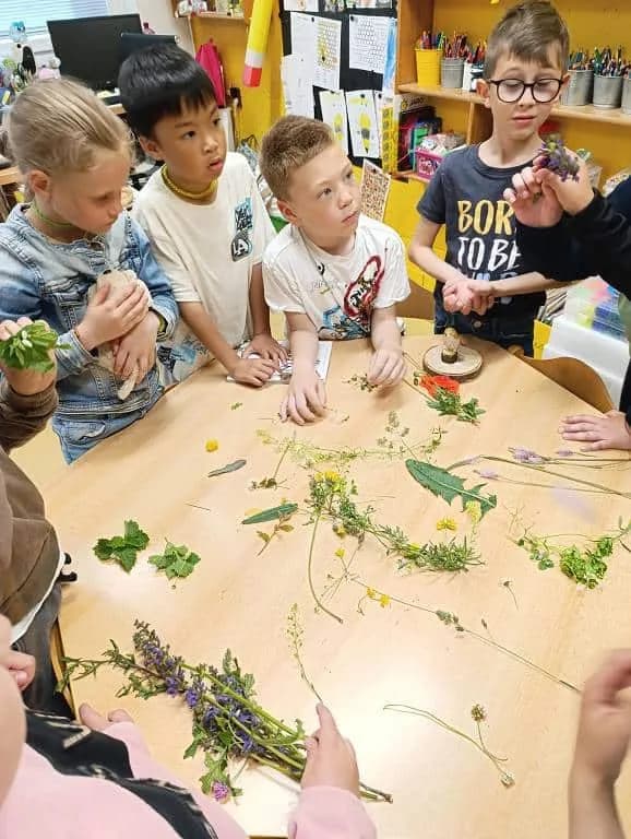 Fotografie z článku: Bylinkový týden u Soviček