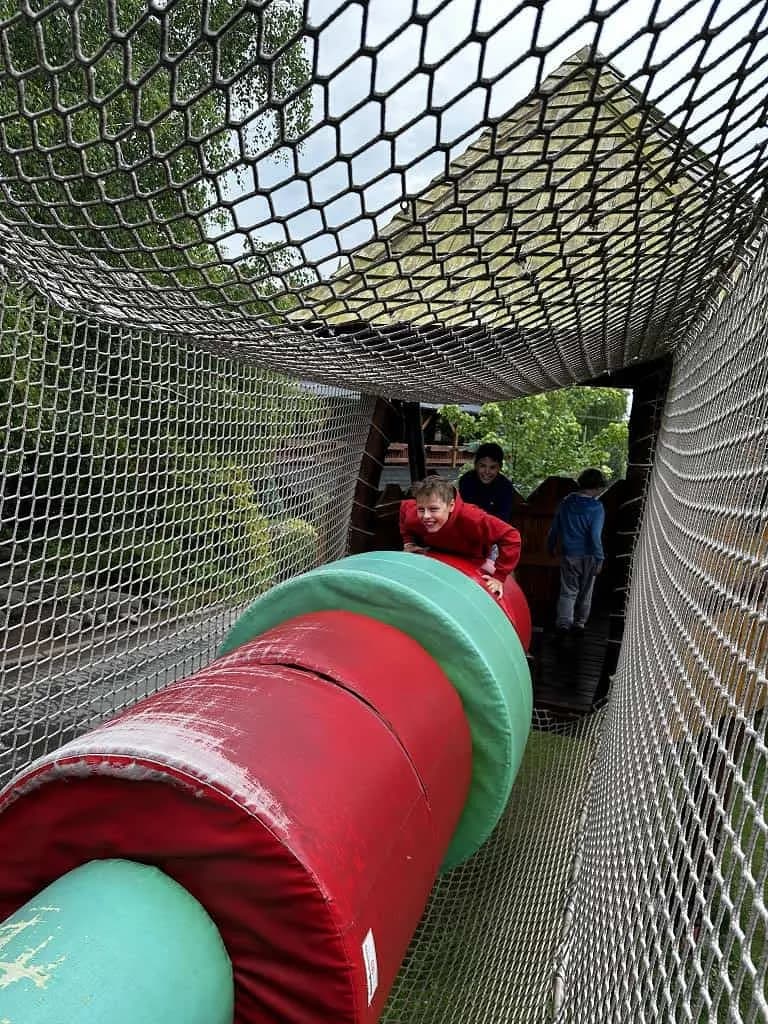 Fotografie z článku: Škola v přírodě