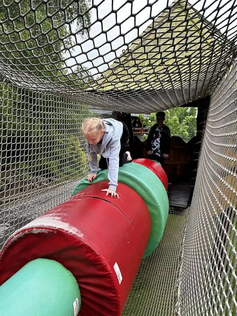 Fotografie z článku: Škola v přírodě