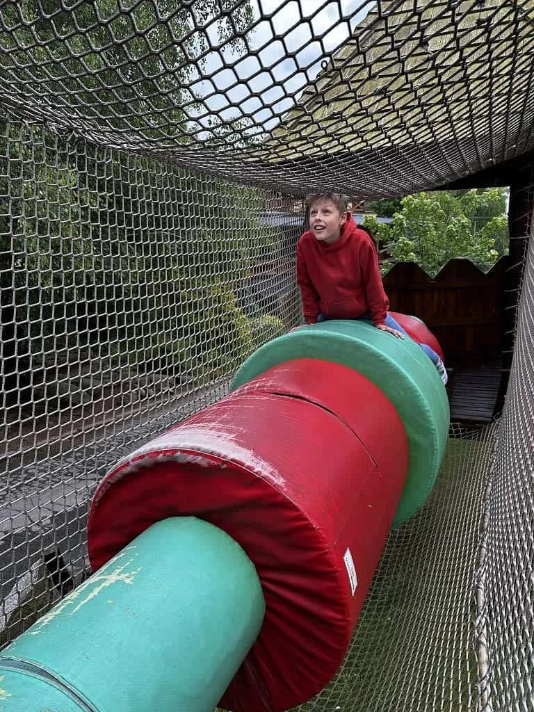 Fotografie z článku: Škola v přírodě